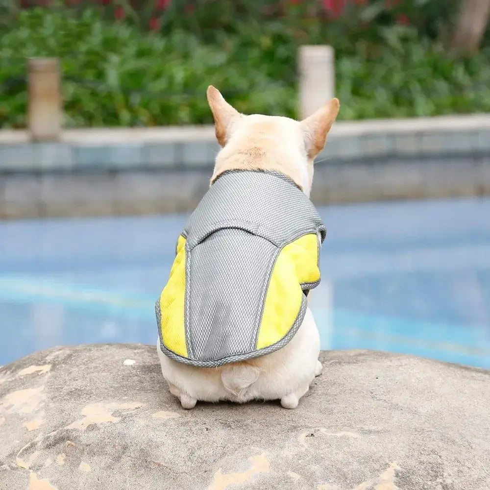 Summer Dog Cooling Vest - Tailrific Pets