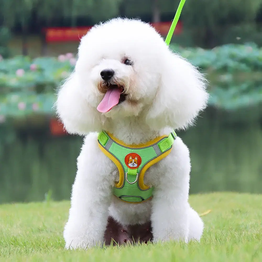 Adjustable Reflective Dog Harness Leash Set