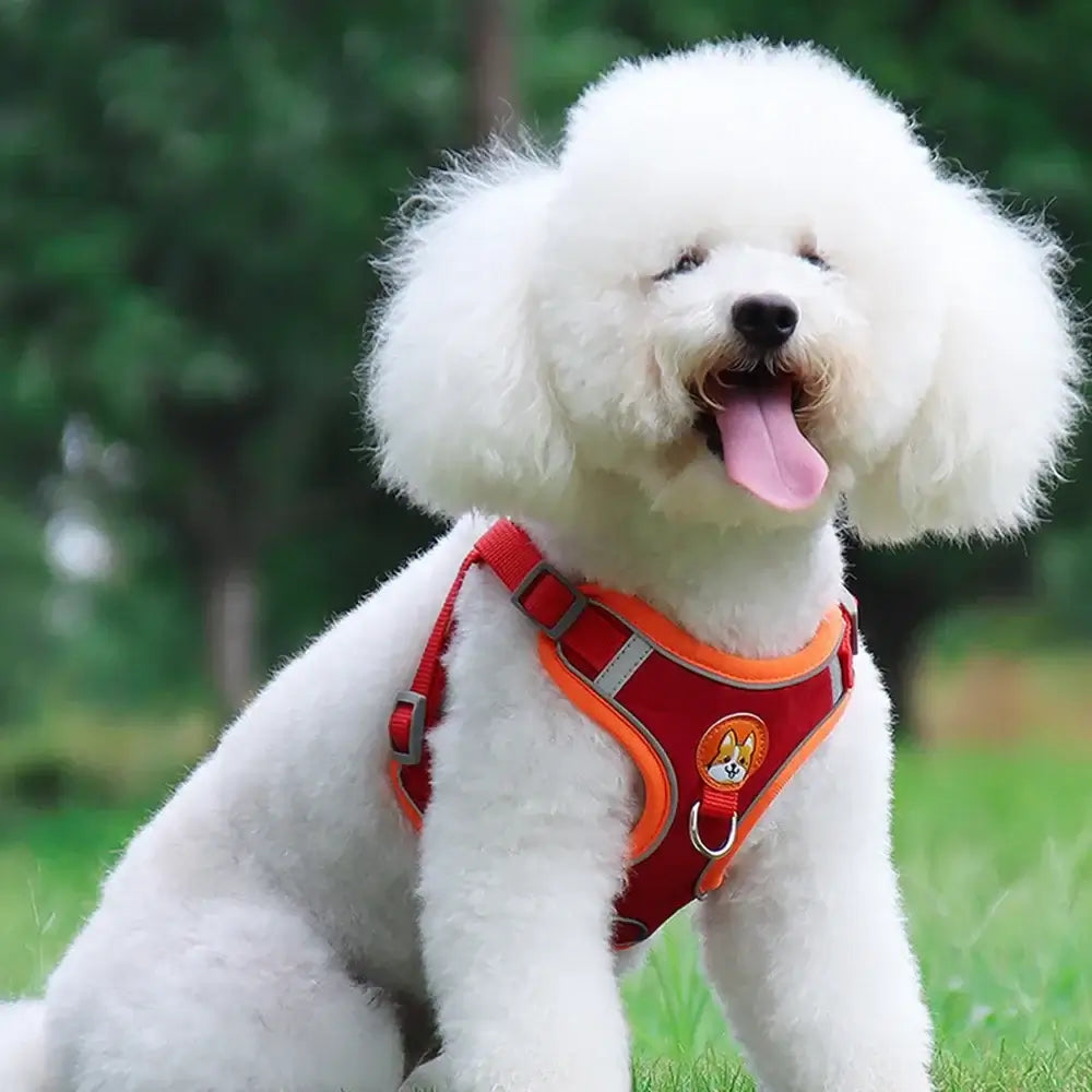 Adjustable Reflective Dog Harness Leash Set
