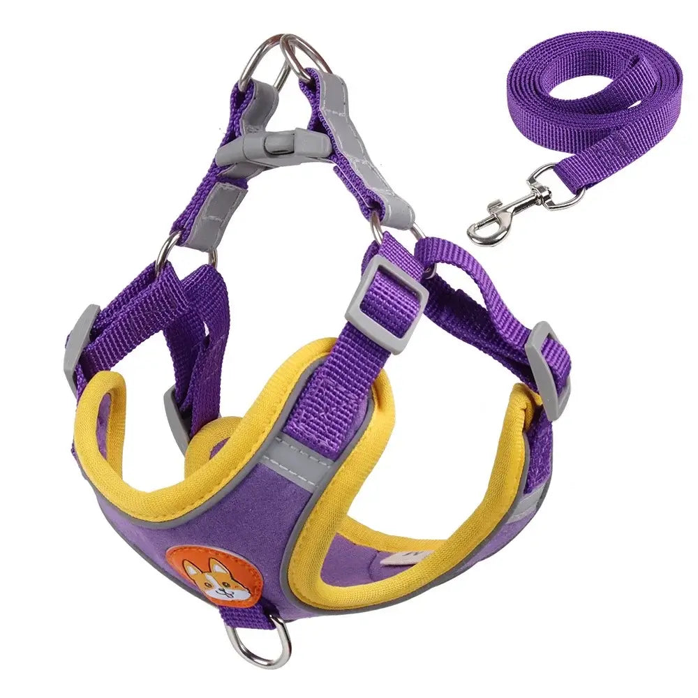 Adjustable Reflective Dog Harness Leash Set