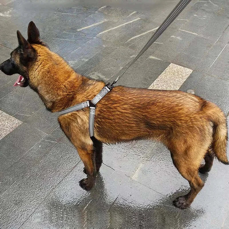 Adjustable Reflective Dog Harness & Leash