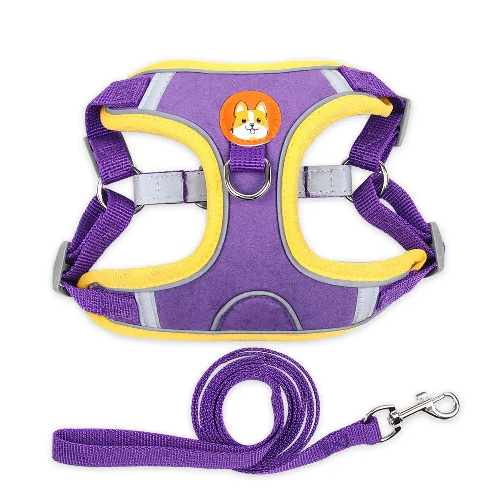 Adjustable Reflective Dog Harness Leash Set