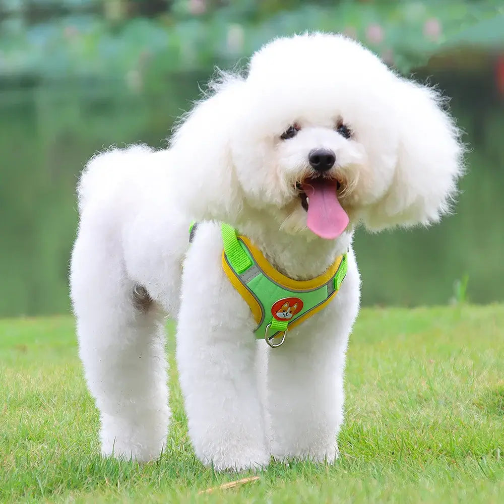 Adjustable Reflective Dog Harness Leash Set