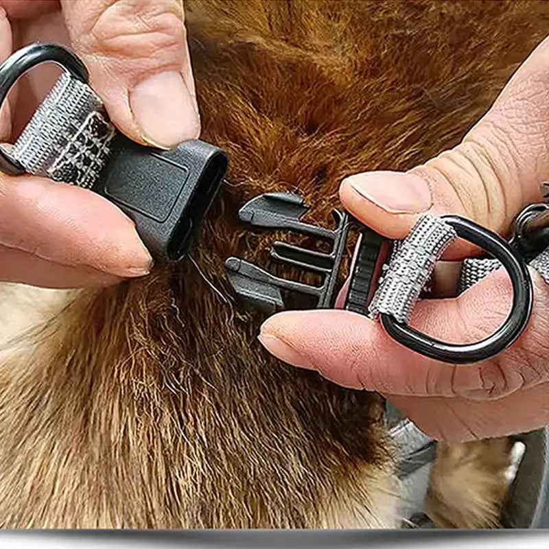 Adjustable Reflective Dog Harness & Leash