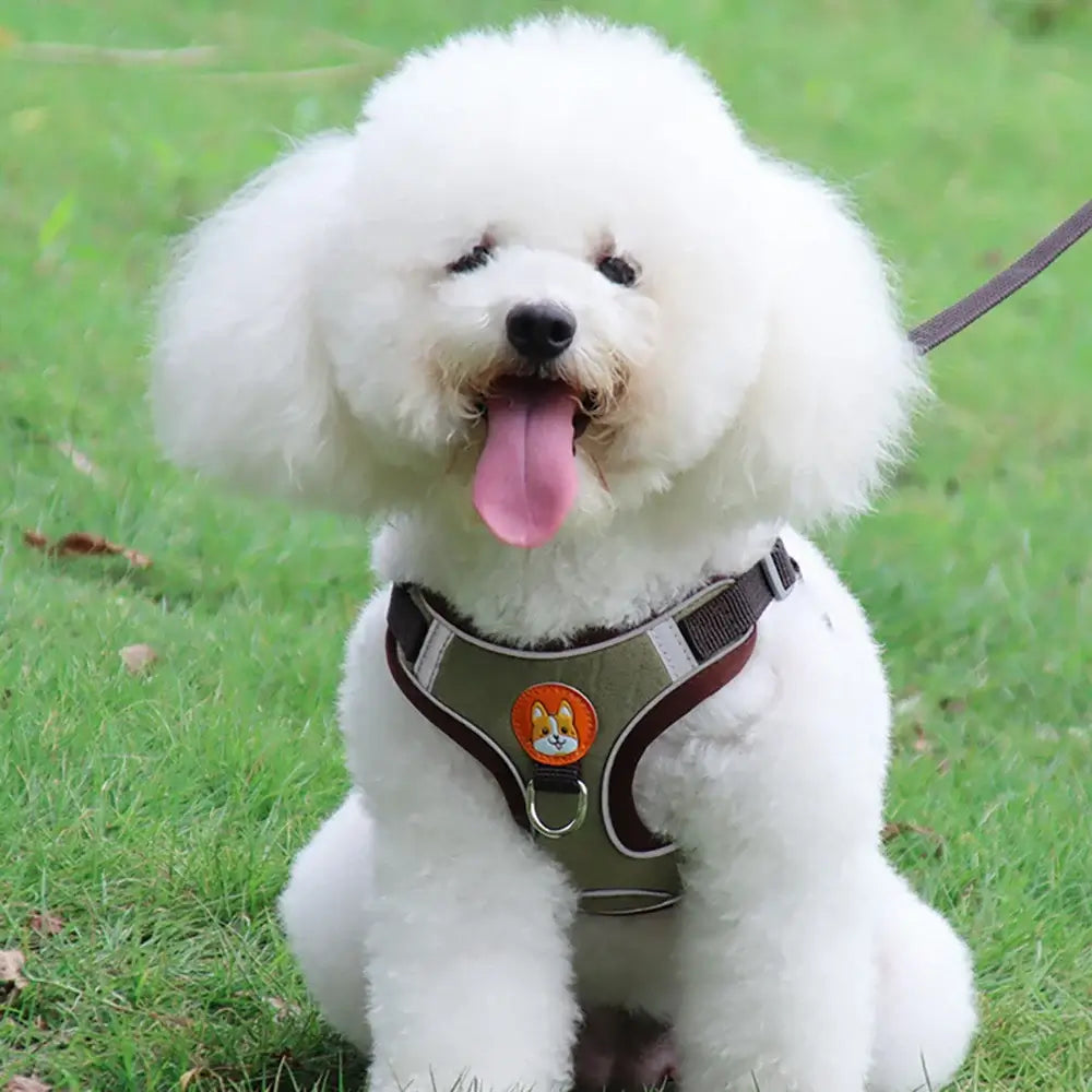 Adjustable Reflective Dog Harness Leash Set