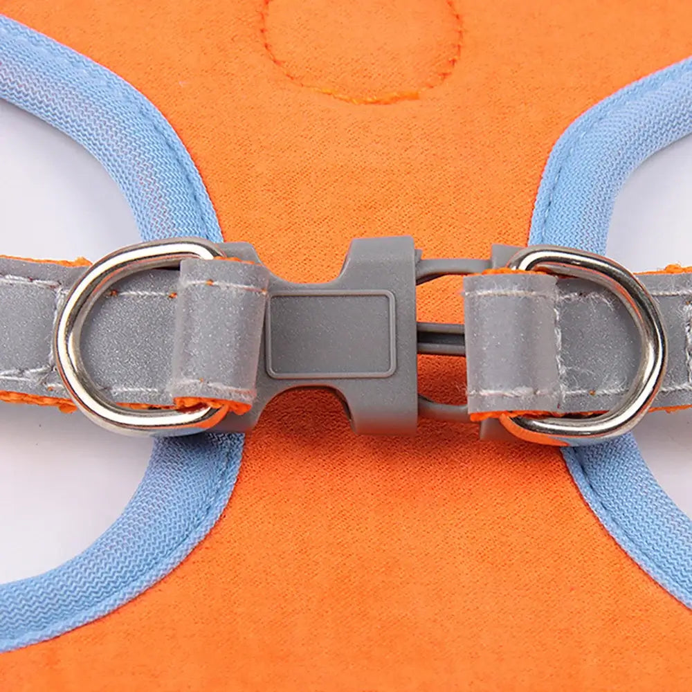 Adjustable Reflective Dog Harness Leash Set
