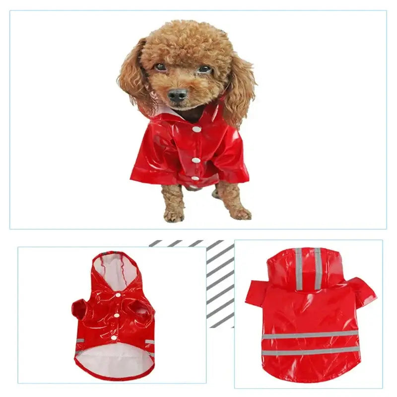 Reflective Waterproof Dog Raincoat