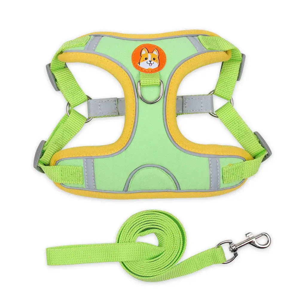 Adjustable Reflective Dog Harness Leash Set