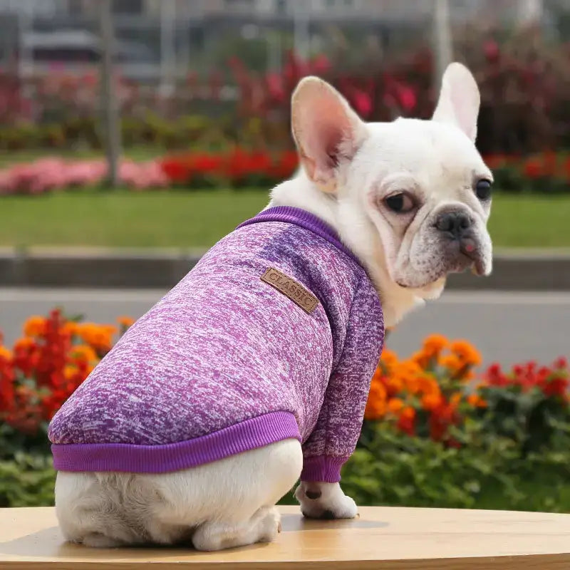 Warm Kitten and Puppy Clothes - Tailrific Pets