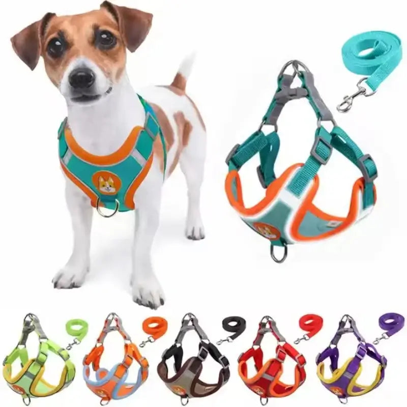 Adjustable Reflective Dog Harness Leash Set