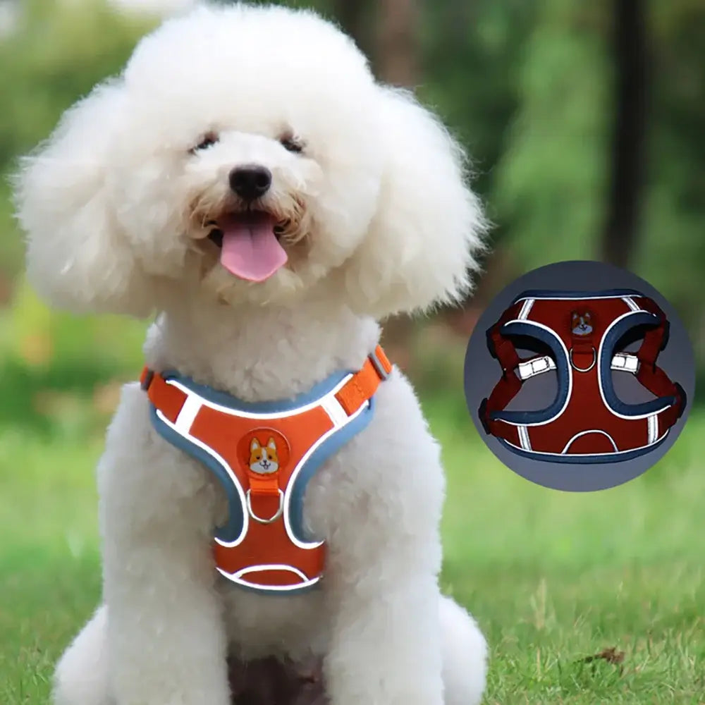 Adjustable Reflective Dog Harness Leash Set