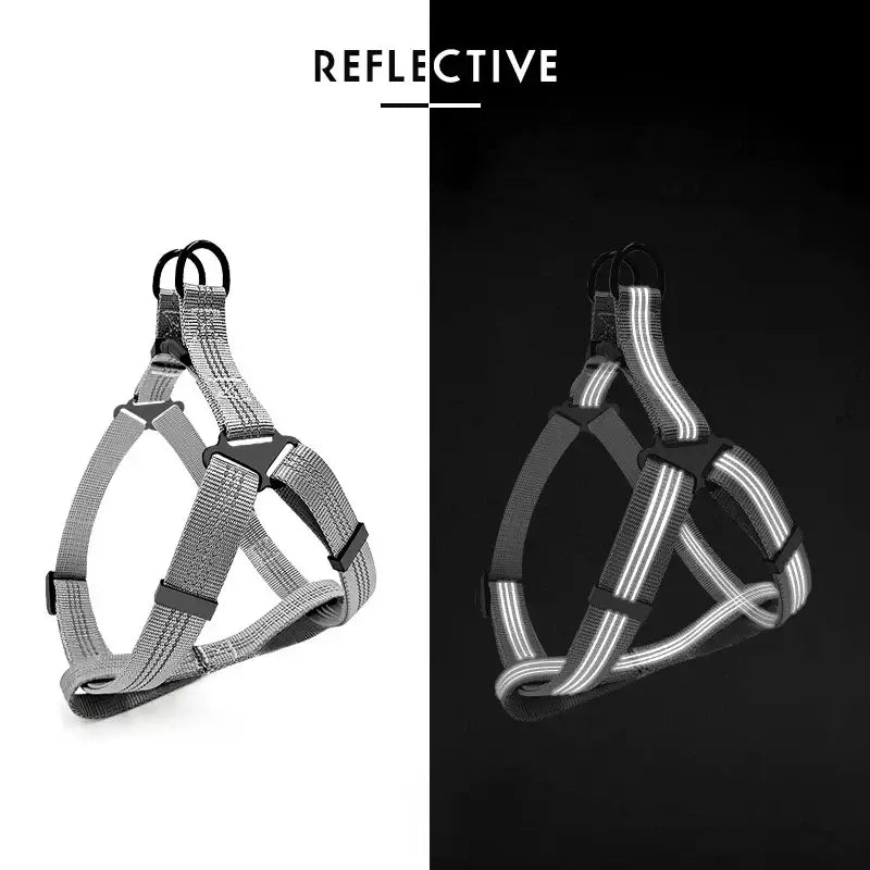 Adjustable Reflective Dog Harness & Leash