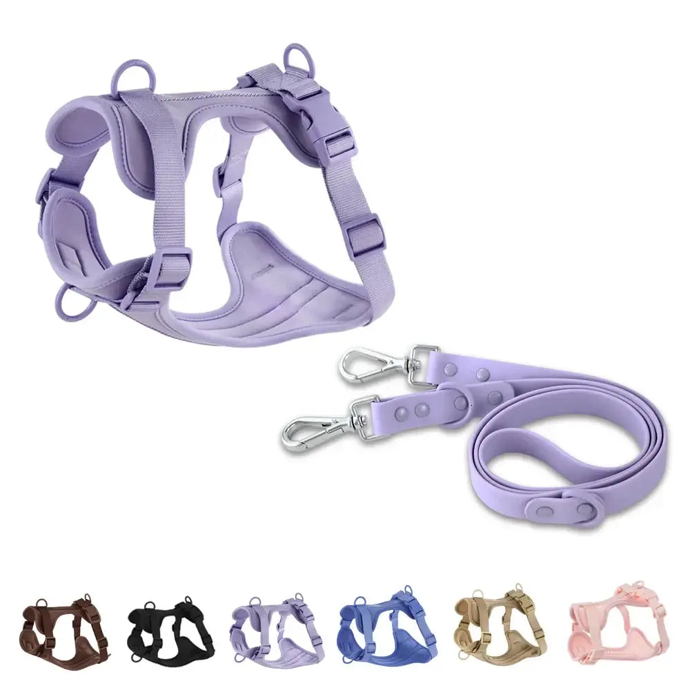 Comfortable Double Dog Leash and Harness Set - Tailrific Pets