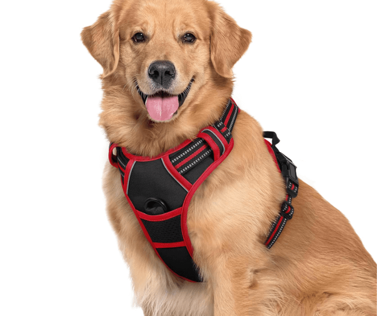  The Top 10 Ways to Properly Use a Dog Harness