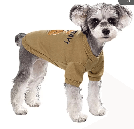 Pet Apparel