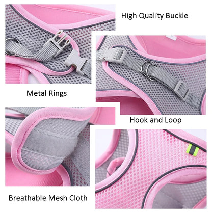 Summer Mesh Harness Vest and Leash Set for Small Dogs Adjustable Puppy Cat Harness Outdoor Dog Walking Chest Strap Pets Supplies - Tailrific Pets