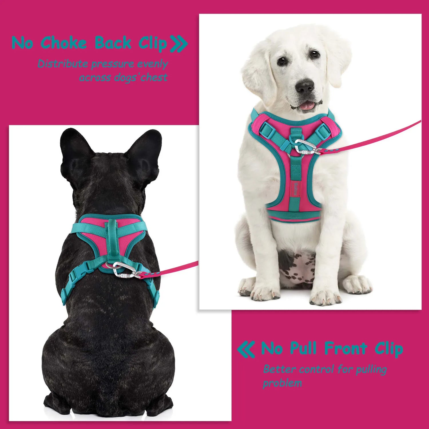 Splicing Colors Breathable No-Pull Dog Harness - Tailrific Pets