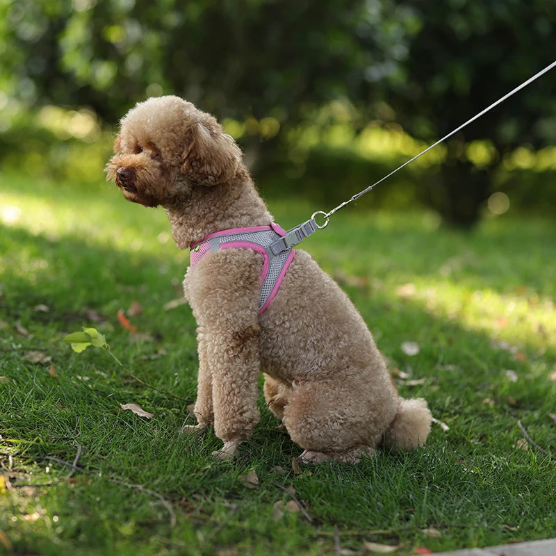 Summer Mesh Harness Vest and Leash Set for Small Dogs Adjustable Puppy Cat Harness Outdoor Dog Walking Chest Strap Pets Supplies - Tailrific Pets