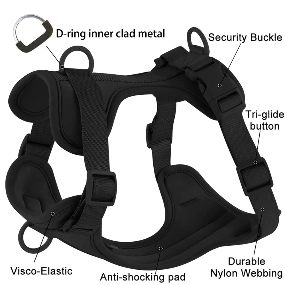 Comfortable Double Dog Leash and Harness Set - Tailrific Pets