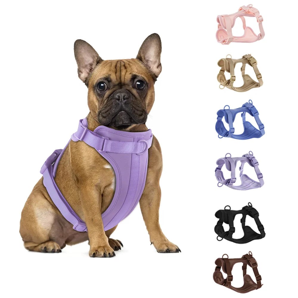 Comfortable Double Dog Leash and Harness Set - Tailrific Pets