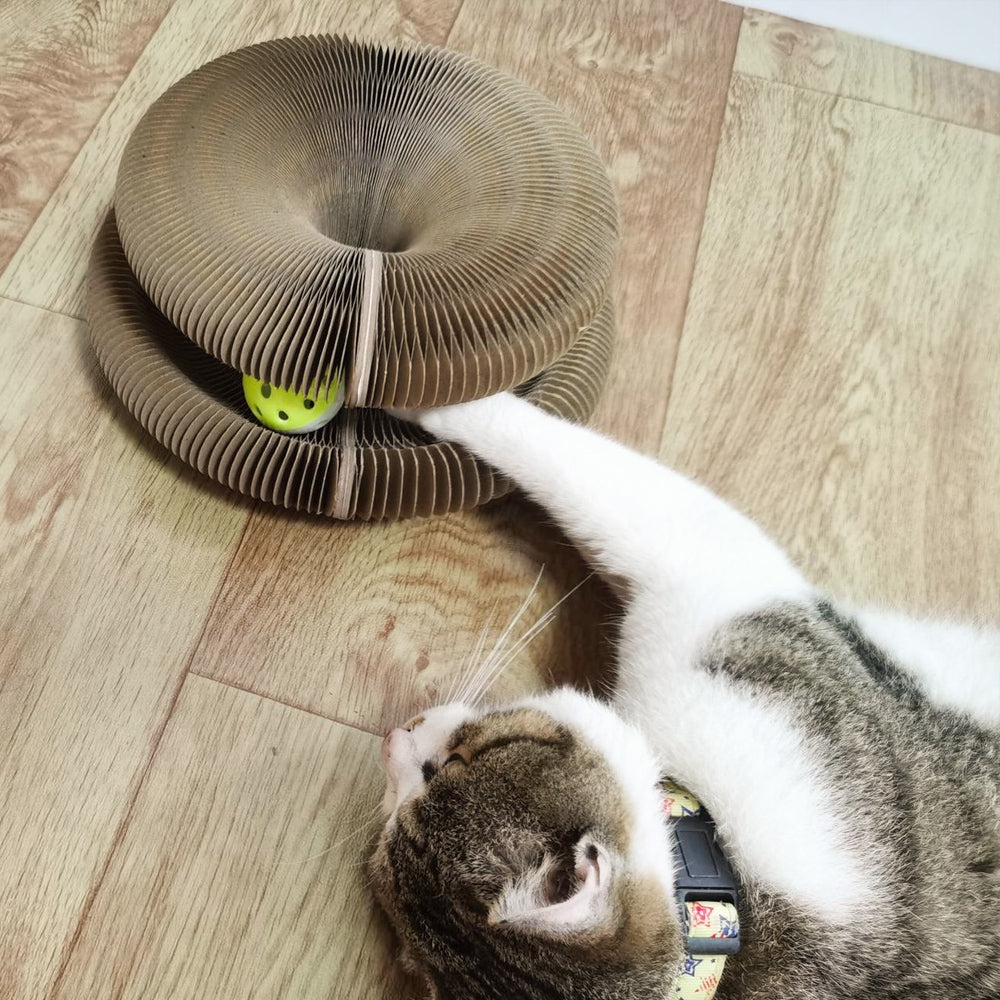 The coolest cat scratcher™ 🔥 (Up To 60% Discount) 🔥