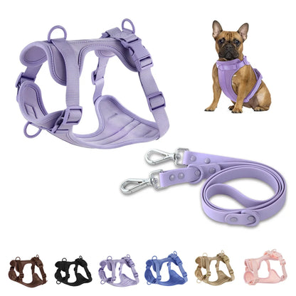 Comfortable Double Dog Leash and Harness Set - Tailrific Pets