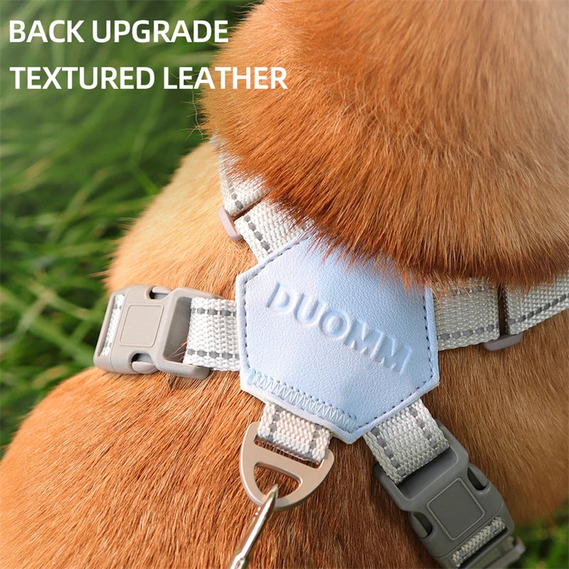 X Shaped Dog Harness Vest Set for Small Meidum Dogs Harness Leash Reflective Puppy Cat Chest Straps Breathable Mesh Harnesses - Tailrific Pets