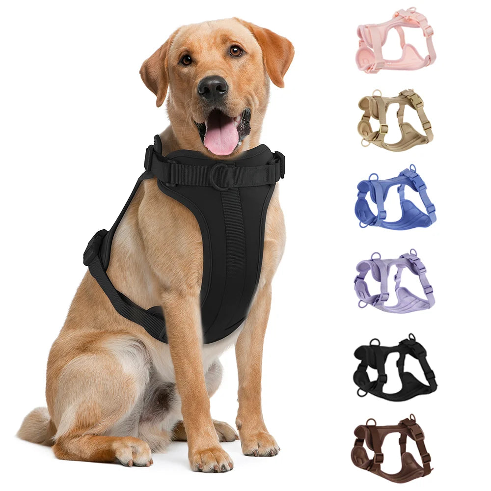 Comfortable Double Dog Leash and Harness Set - Tailrific Pets