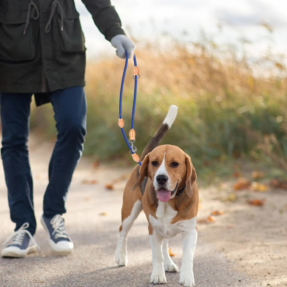 Hands-Free Double Dog Leash - Tailrific Pets