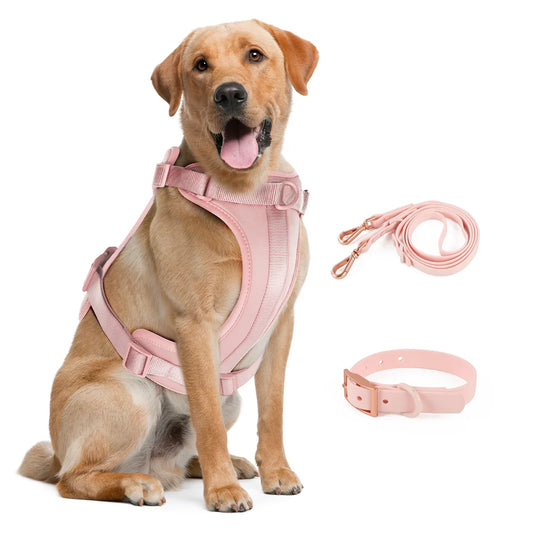 Light Pink Dog Collar Harness Double Leash Set - Tailrific Pets