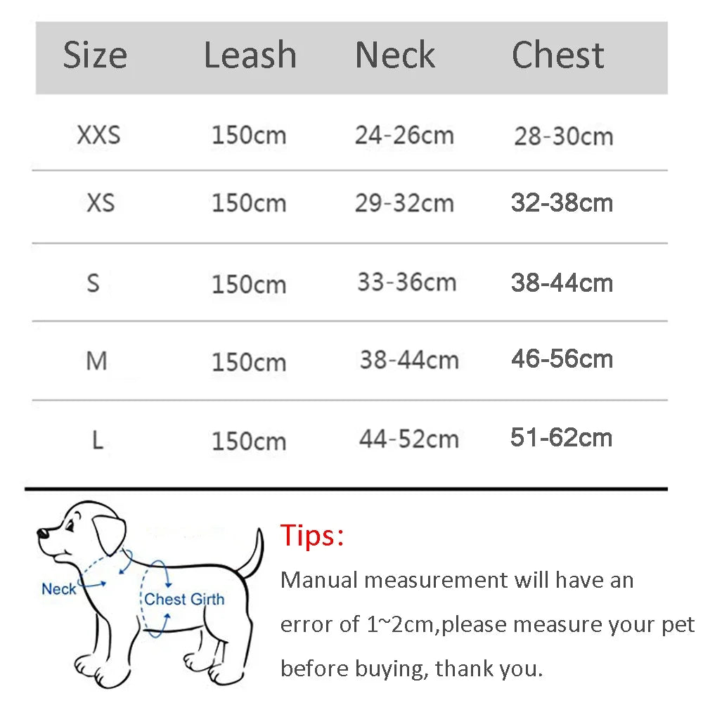 Summer Mesh Harness Vest and Leash Set for Small Dogs Adjustable Puppy Cat Harness Outdoor Dog Walking Chest Strap Pets Supplies - Tailrific Pets