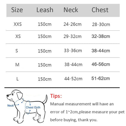 Summer Mesh Harness Vest and Leash Set for Small Dogs Adjustable Puppy Cat Harness Outdoor Dog Walking Chest Strap Pets Supplies - Tailrific Pets