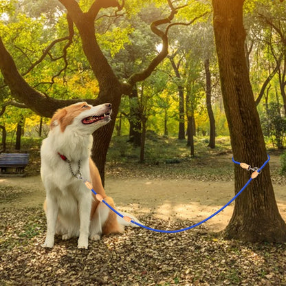 Hands-Free Double Dog Leash - Tailrific Pets