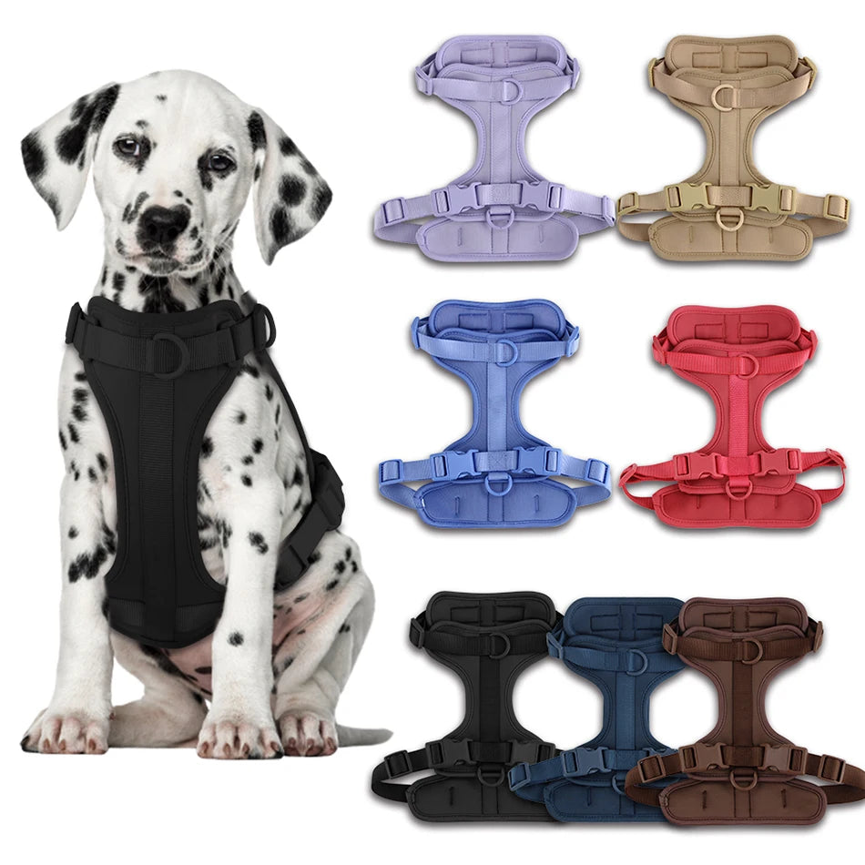 Comfortable Double Dog Leash and Harness Set - Tailrific Pets