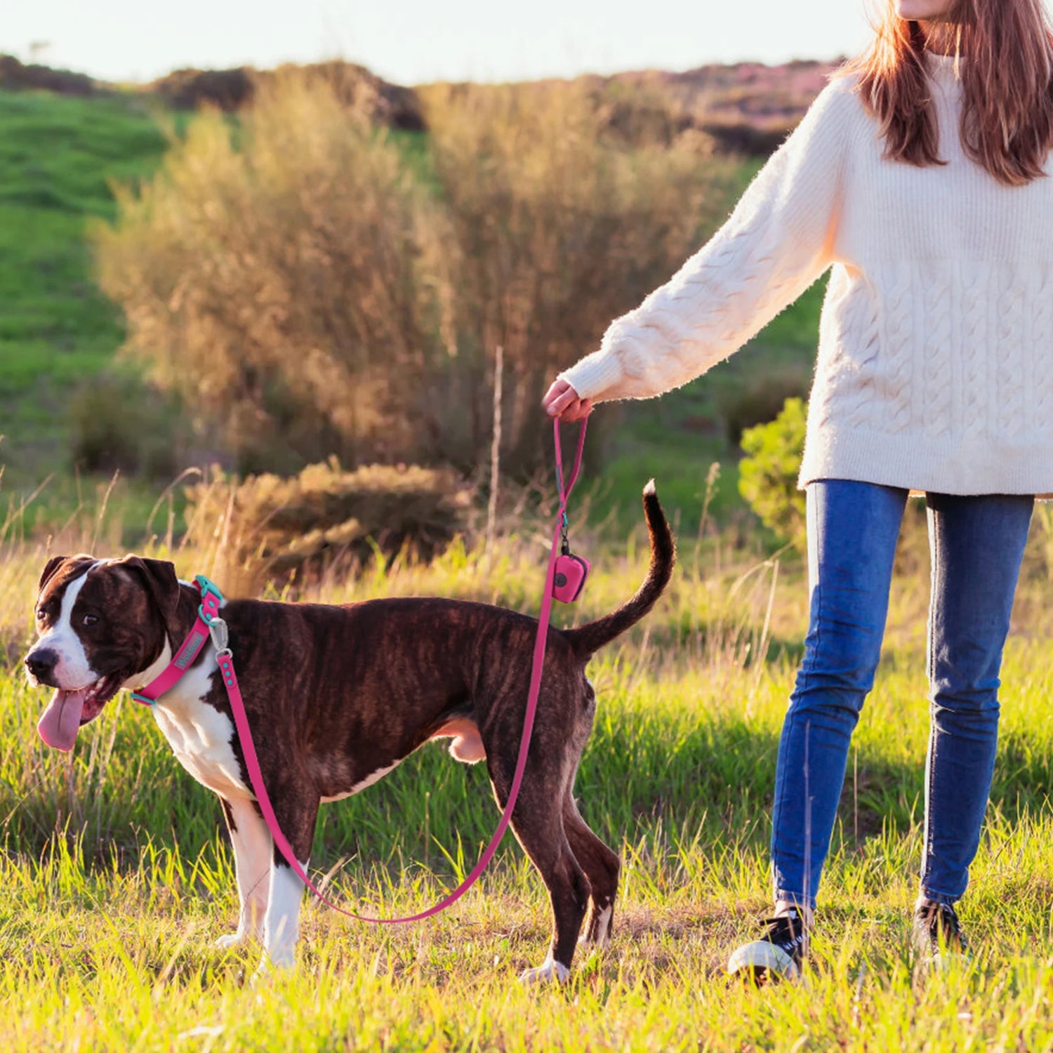 Portable Dog Poop Bags Carrier - Tailrific Pets