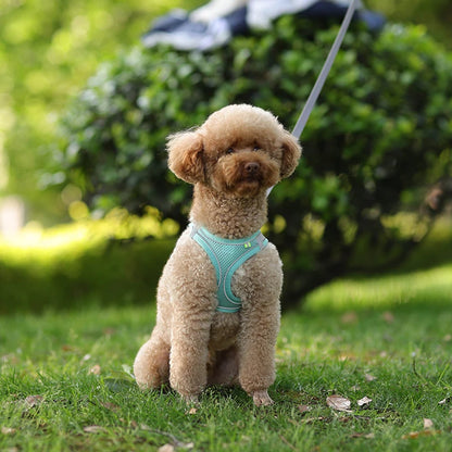 Summer Mesh Harness Vest and Leash Set for Small Dogs Adjustable Puppy Cat Harness Outdoor Dog Walking Chest Strap Pets Supplies - Tailrific Pets