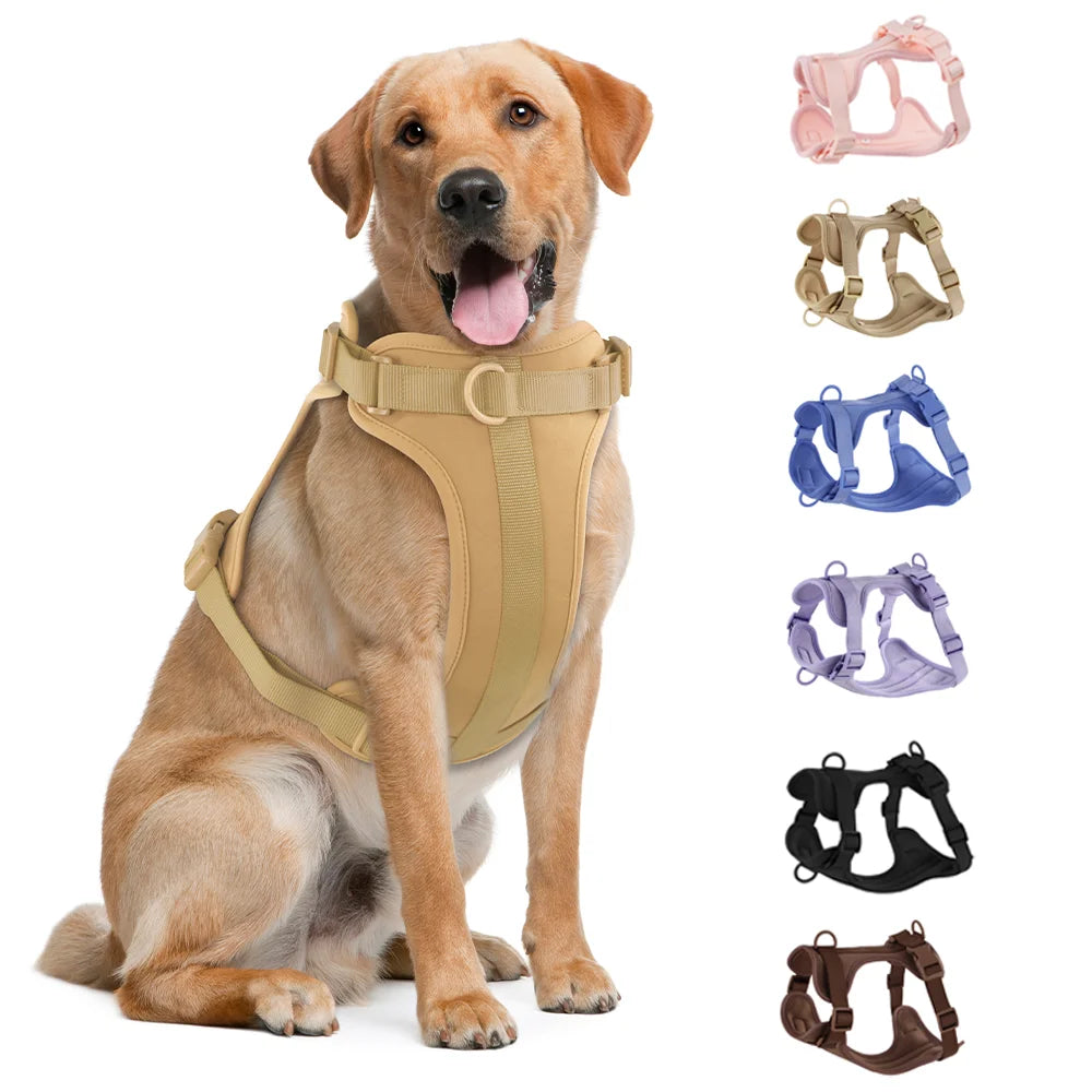 Comfortable Double Dog Leash and Harness Set - Tailrific Pets