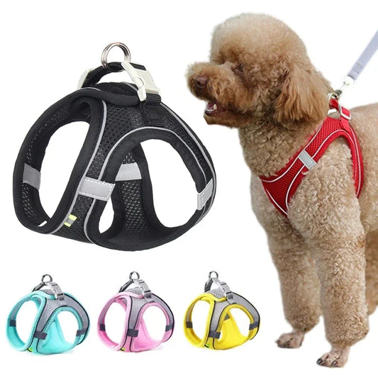 Summer Mesh Harness Vest and Leash Set for Small Dogs Adjustable Puppy Cat Harness Outdoor Dog Walking Chest Strap Pets Supplies - Tailrific Pets