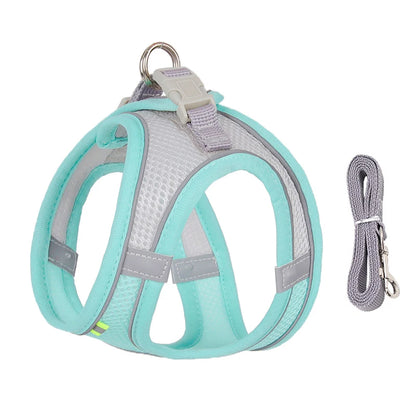 Summer Mesh Harness Vest and Leash Set for Small Dogs Adjustable Puppy Cat Harness Outdoor Dog Walking Chest Strap Pets Supplies - Tailrific Pets