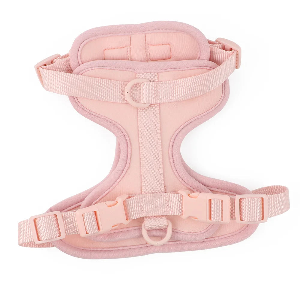 Light Pink Dog Collar Harness Double Leash Set - Tailrific Pets