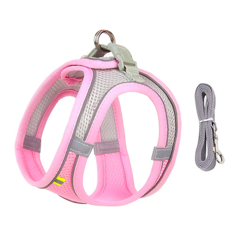 Summer Mesh Harness Vest and Leash Set for Small Dogs Adjustable Puppy Cat Harness Outdoor Dog Walking Chest Strap Pets Supplies - Tailrific Pets