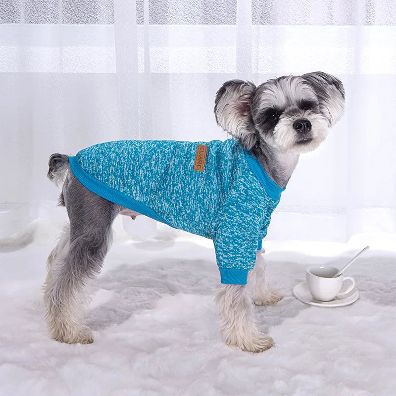 Warm Kitten and Puppy Clothes - Tailrific Pets