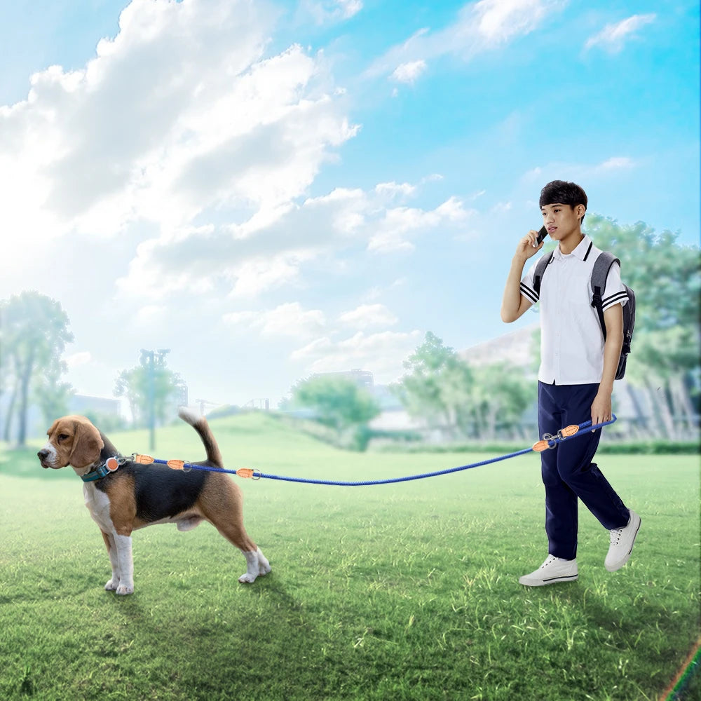 Hands-Free Double Dog Leash - Tailrific Pets