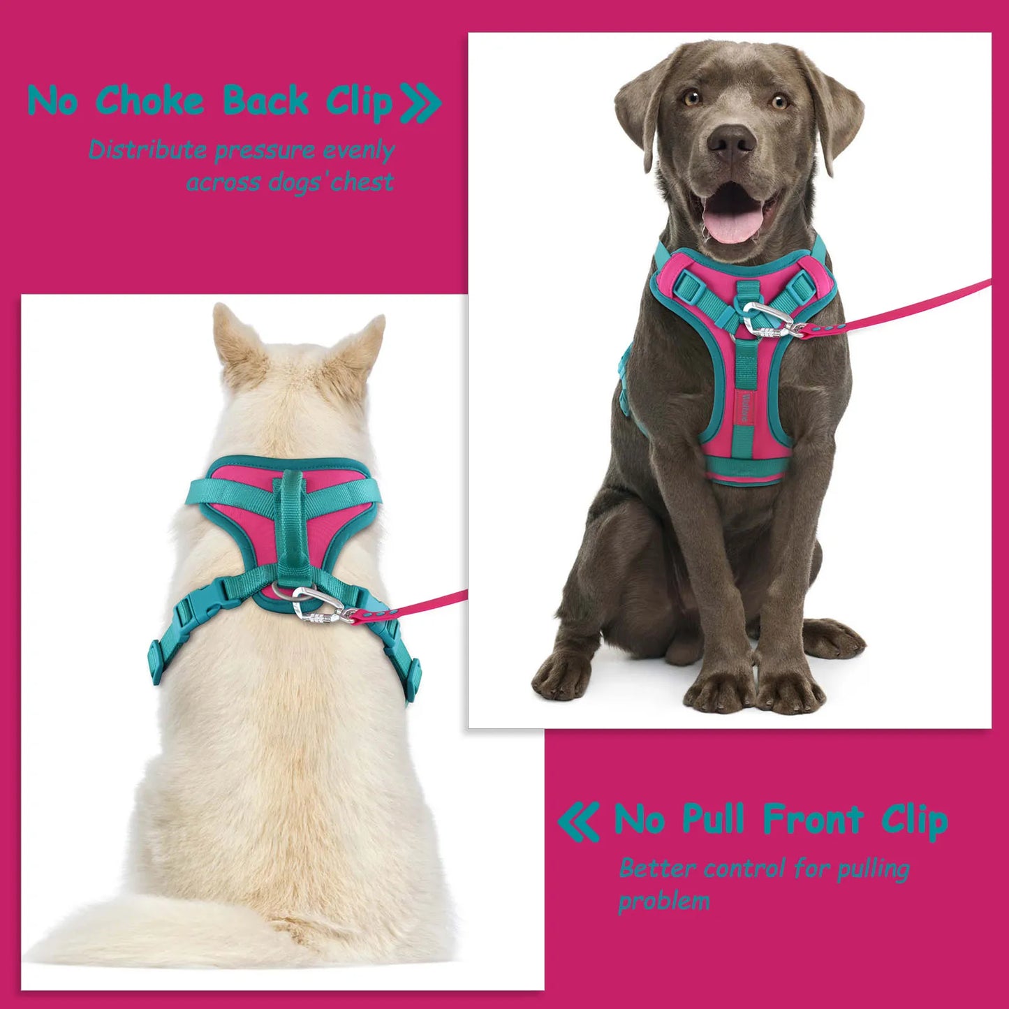 Splicing Colors Breathable No-Pull Dog Harness - Tailrific Pets