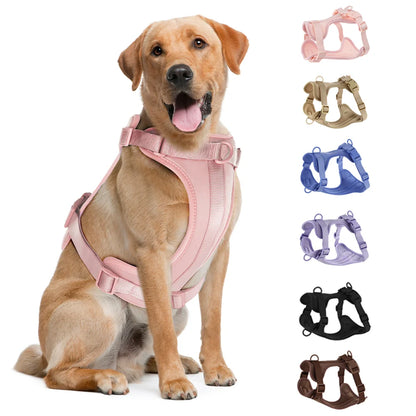 Comfortable Double Dog Leash and Harness Set - Tailrific Pets