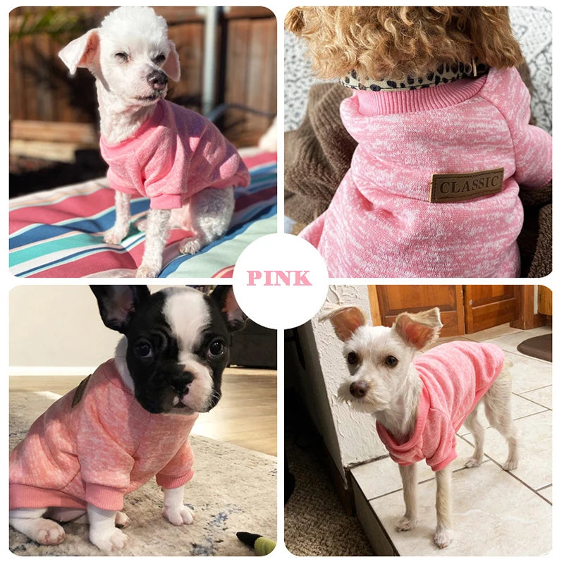 Warm Kitten and Puppy Clothes - Tailrific Pets