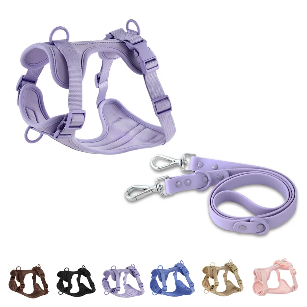 Comfortable Double Dog Leash and Harness Set - Tailrific Pets