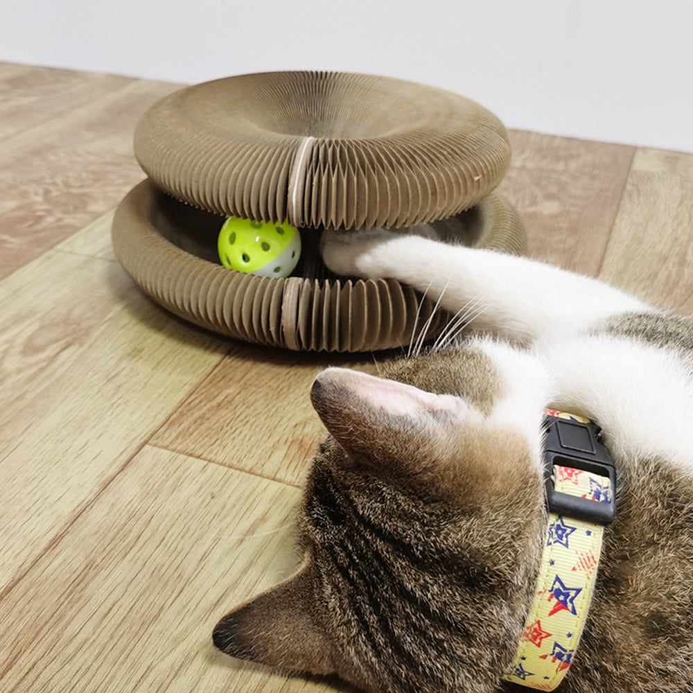 The coolest cat scratcher™ 🔥 (Up To 60% Discount) 🔥