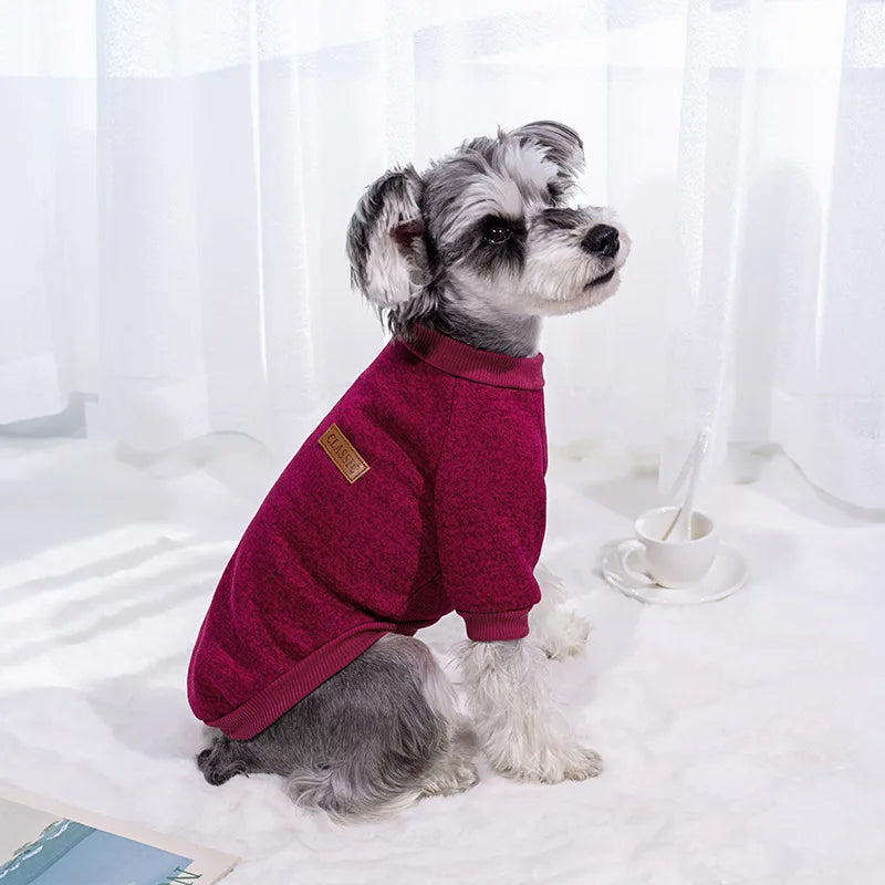 Warm Kitten and Puppy Clothes - Tailrific Pets